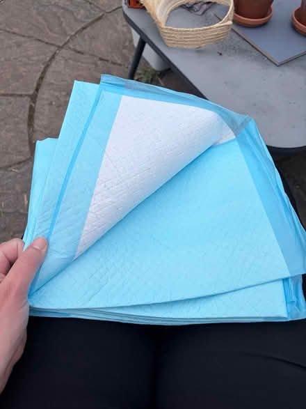 Photo of free 3 large absorbent pads (West Bridgford NG2) #1