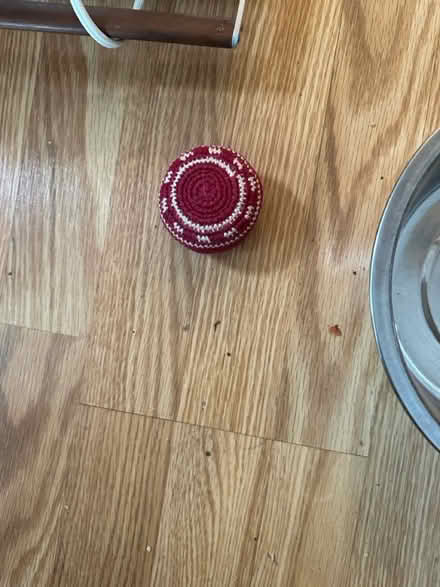Photo of free Hackey sac ball (Portage park 60641) #1