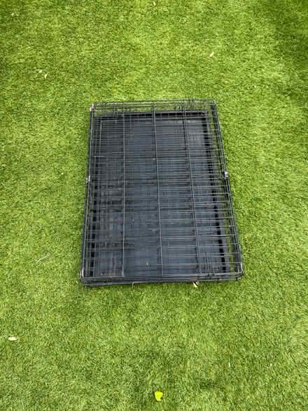 Photo of free Dog crate (SW17) #1