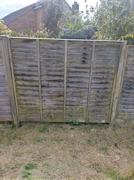 Photo of Fence Panels (North Bersted PO22) #1