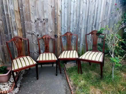 Photo of free Chairs (Roehampton SW15) #1