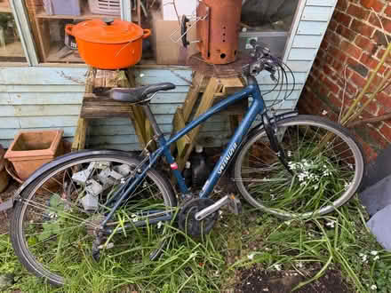 Photo of free Bike (Aldrington BN3) #1
