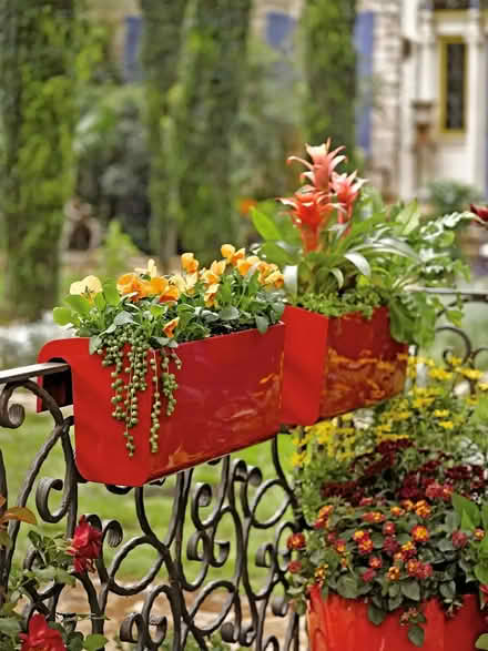 Photo of Balcony rail planter (Stockwell SW9) #1