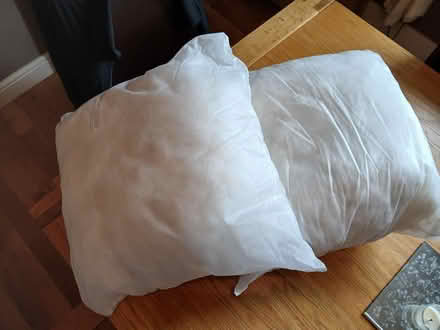 Photo of free Cushion inners (Parkhead EH11) #1