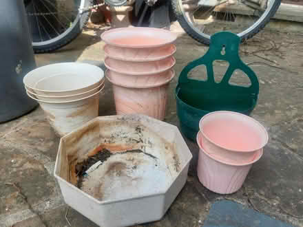 Photo of free Pots (SW16) #1