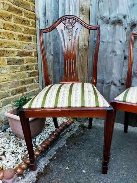 Photo of free Chairs (Roehampton SW15) #2