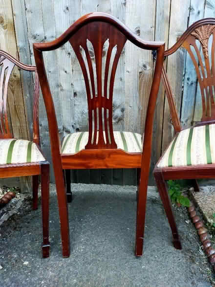 Photo of free Chairs (Roehampton SW15) #4