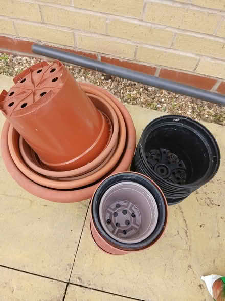 Photo of free Plastic plant pots (Moreton Hall BSE) #2