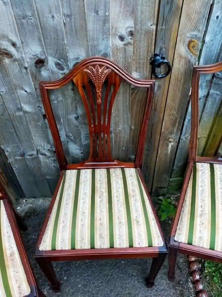 Photo of free Chairs (Roehampton SW15) #3