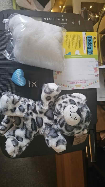 Photo of free Build a Toy Bear (Canford Heath BH17) #1