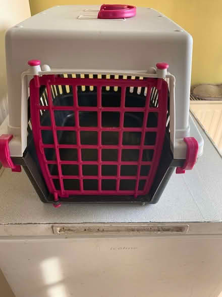 Photo of free Cat carrier (Bucknell SY7) #1