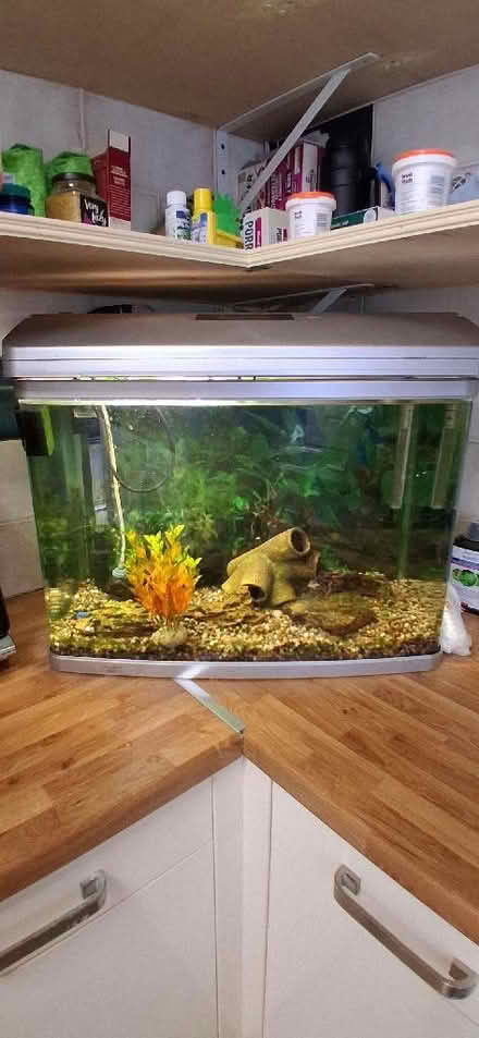 Photo of free Aquarium (Greaves LA1) #1