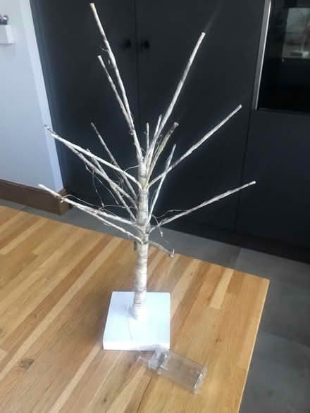 Photo of free Light up tree (Bromham MK43) #1