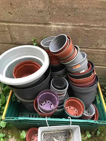 Photo of free Plant pots (Canton CF5) #1