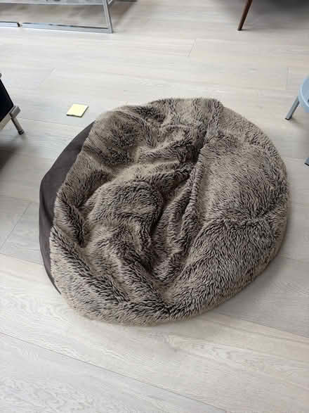 Photo of free Beanbag (St Margarets TW1) #1