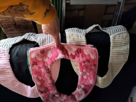Photo of free 3x toilet seat covers (St Ives PE27) #1