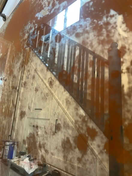 Photo of free Oxidised mirror (Surbiton KT5) #1