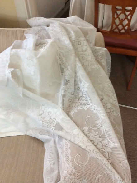 Photo of free White lace curtain panel (Frimley) #1