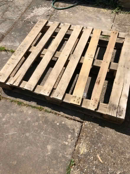 Photo of free Pallet (St. Martin's CT3) #1
