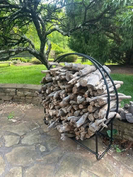 Photo of free Mixed aged firewood and ring holder (The Plains) #1