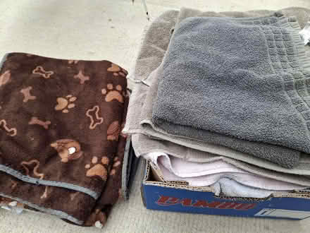 Photo of free Pet blankets and old towels (Browns Hill GL6) #1