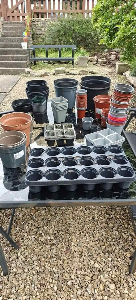 Photo of free Assortment of plastic plant pots (BS4) #1
