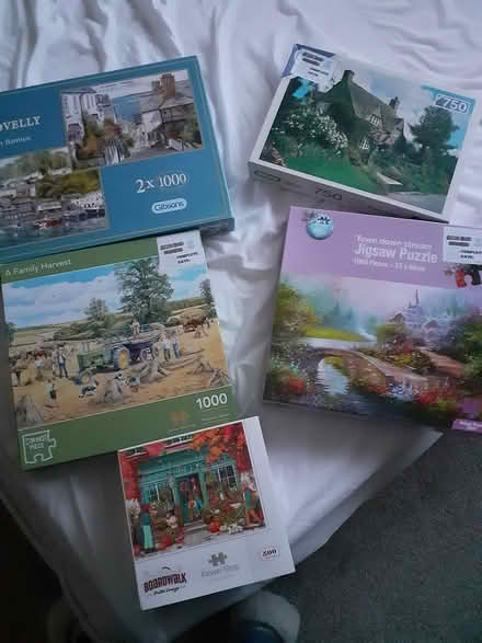 Photo of free Jigsaw puzzles (Winterbourne bristol) #1