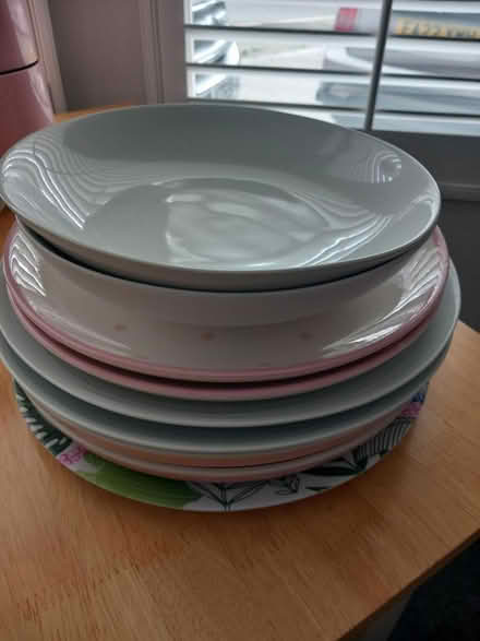 Photo of free Dinner plates and pasta bowls (Hadleigh SS7) #1