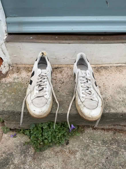 Photo of free Vega trainers (Jericho OX1) #1