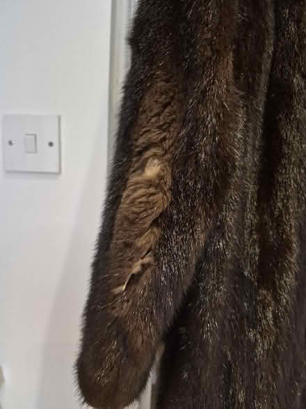 Photo of free Vintage mink coat (South Kensington W8) #3