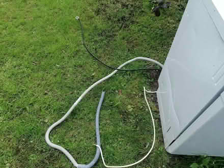 Photo of free Dishwasher (Malvern Link WR14) #3