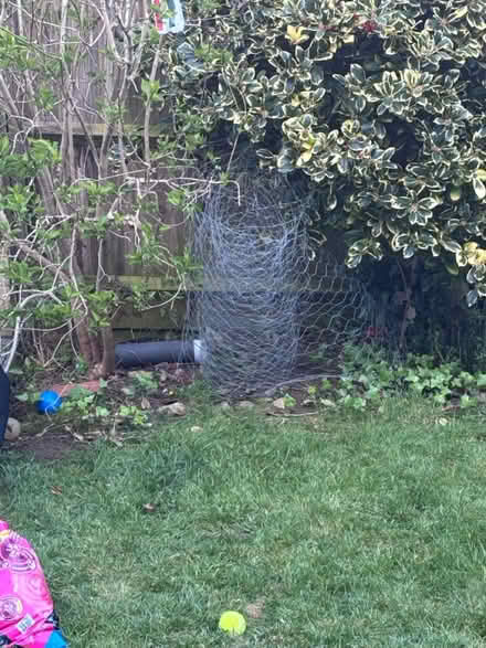 Photo of free Chicken wire (MK3 west Bletchley) #1