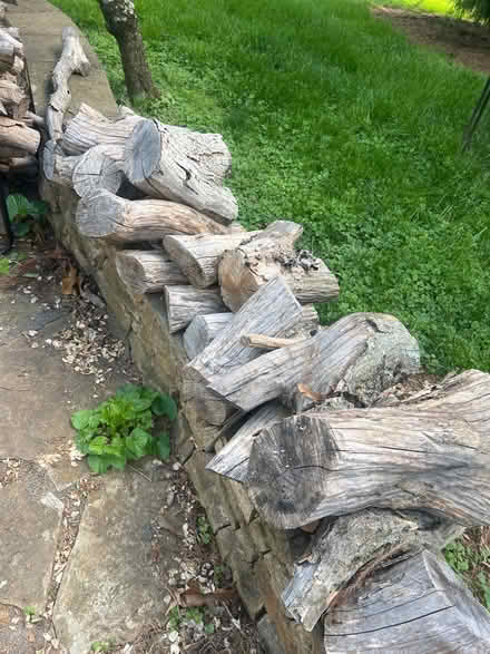 Photo of free Mixed aged firewood and ring holder (The Plains) #2
