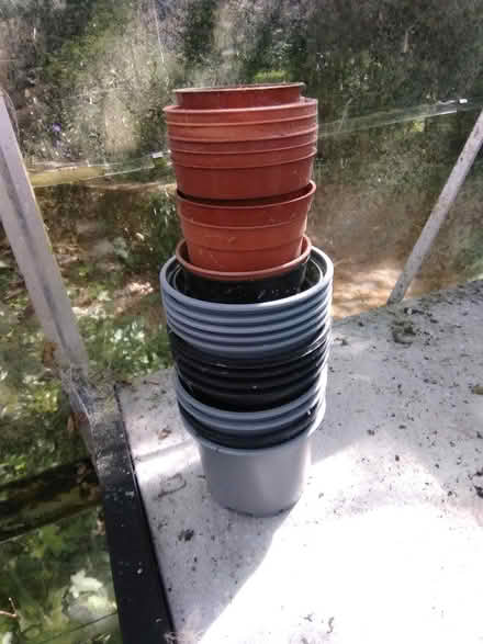 Photo of free Small plastic plant pots (Fareham PO15) #1