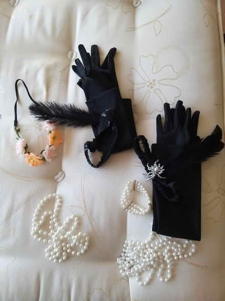 Photo of free Flapper fancy dress items, long black gloves,headband,pearls (Penwortham PR1) #1