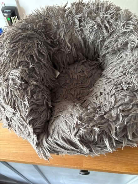 Photo of free Cat Bed (Broughton PR3) #1
