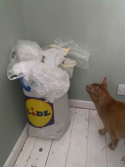 Photo of free Bubble wrap (Cashes Green, Stroud.) #1