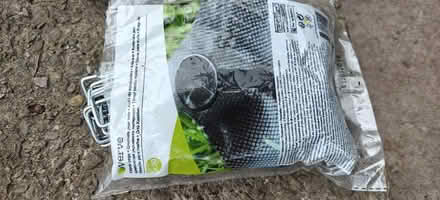 Photo of free Garden fabric pegs (BS4) #2