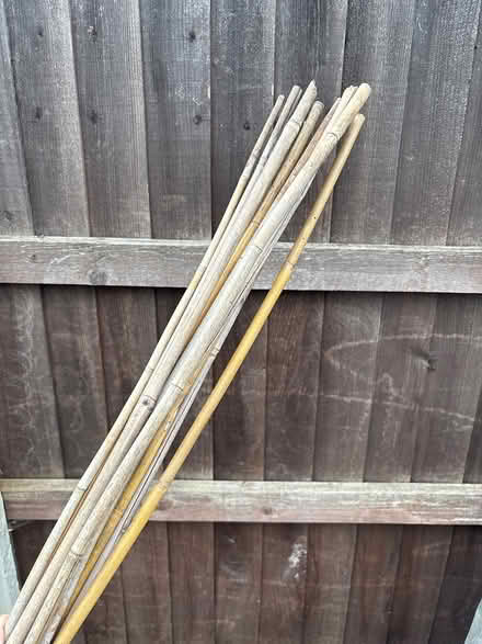 Photo of free Bamboo canes (Stockport centre SK1) #1