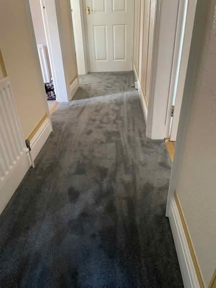 Photo of free Grey Carpet Off Cut (Rowlands Gill NE39) #4