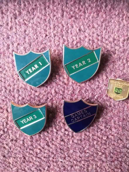 Photo of free School badges (Bearwood BH11) #1
