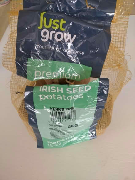 Photo of free Seed potatoes (Killiney) #1