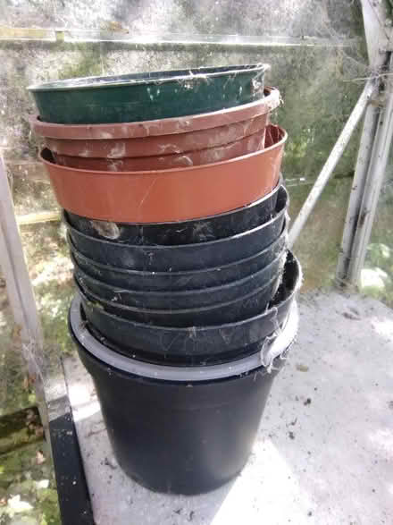 Photo of free Large plastic plant pots (Fareham PO15) #1