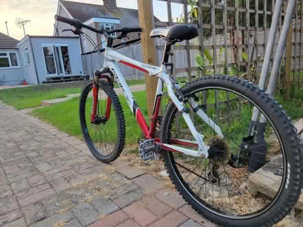 Photo of free Mountain Bike (Burgess Hill RH15) #2