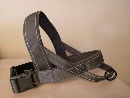 Photo of free Dog Harness (Old Ottawa East) #1