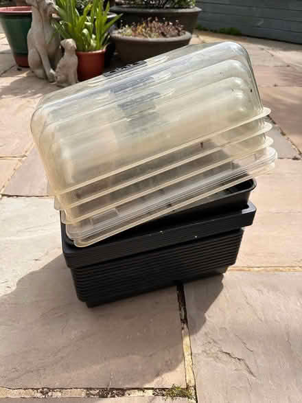 Photo of free Garden containers and growing trays (Horsham North RH12) #2