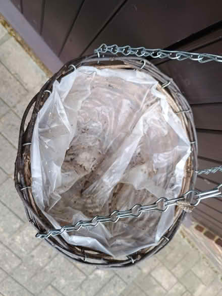 Photo of free Small hanging basket (Horsell, Woking GU21) #2