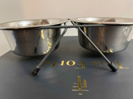Photo of free Dog bowls (Leigh High School) #2