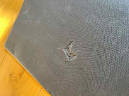 Photo of free Gym mat (Norham Manor OX2) #3