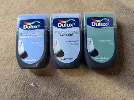 Photo of free Dulux roll on paint testers (Hitchin SG5) #1